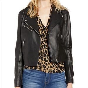 Halogen Genuine Leather Moto Jacket